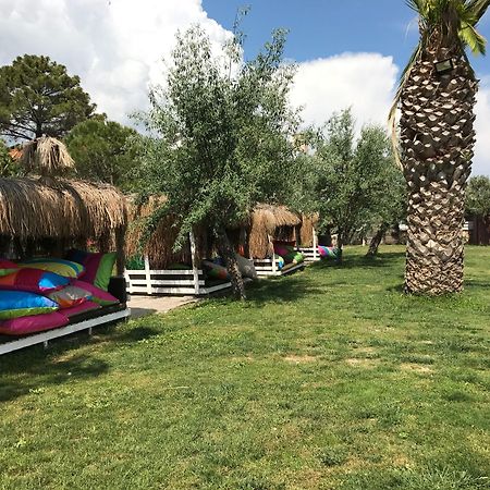 קוצ'וקויו Palm Beach Otel מראה חיצוני תמונה